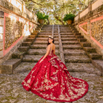 Load image into Gallery viewer, Red 001